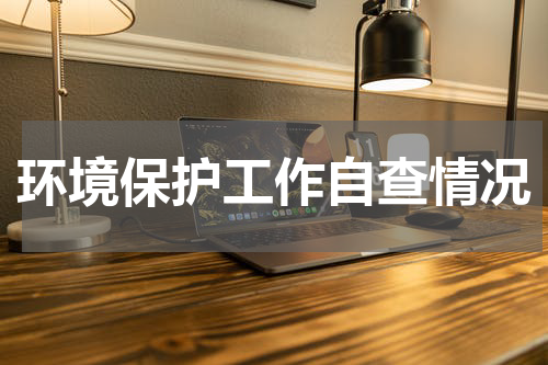环境保护工作自查情况