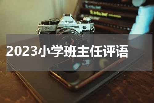 2023小学班主任评语