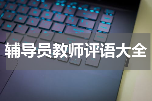 辅导员教师评语大全