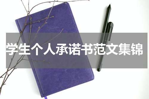 学生个人承诺书范文集锦