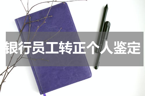 银行员工转正个人鉴定
