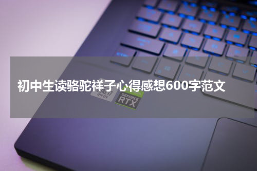 初中生读骆驼祥子心得感想600字范文
