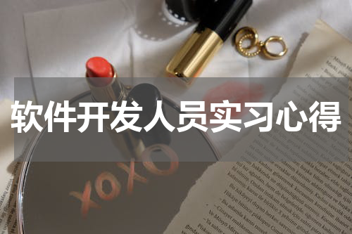 软件开发人员实习心得