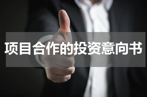 项目合作的投资意向书