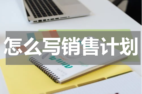 怎么写销售计划