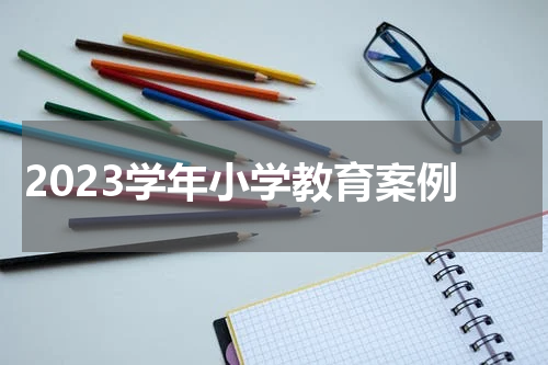 2023学年小学教育案例