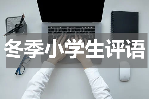冬季小学生评语