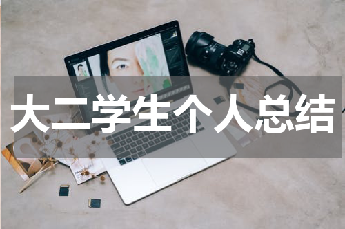 大二学生个人总结