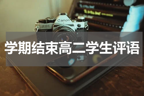 学期结束高二学生评语