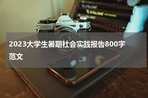 2023大学生暑期社会实践报告800字范文