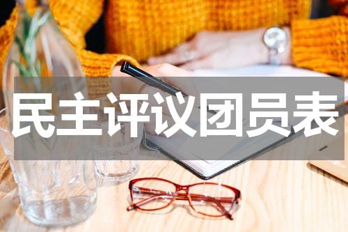 民主评议团员表