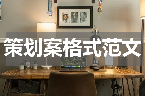 策划案格式范文
