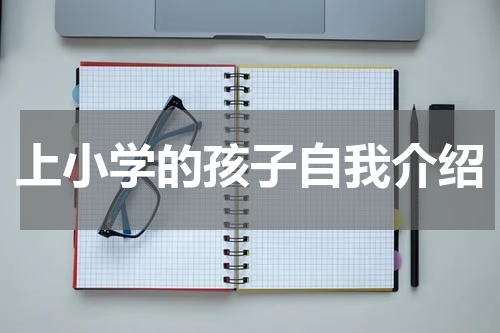 上小学的孩子自我介绍