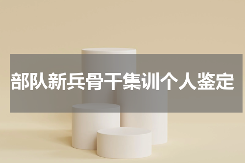 部队新兵骨干集训个人鉴定