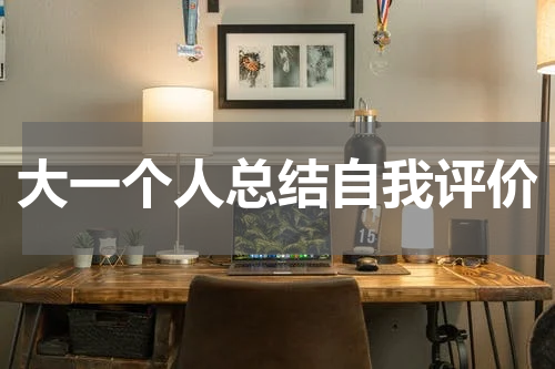 大一个人总结自我评价
