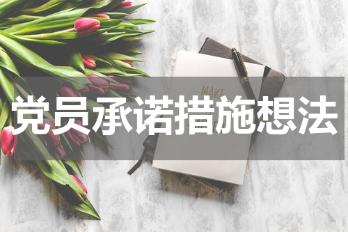 党员承诺措施想法