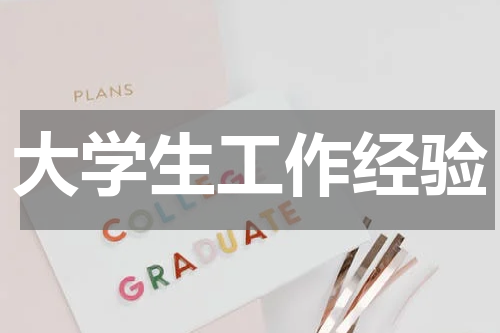 大学生工作经验