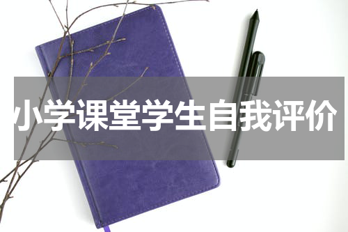 小学课堂学生自我评价