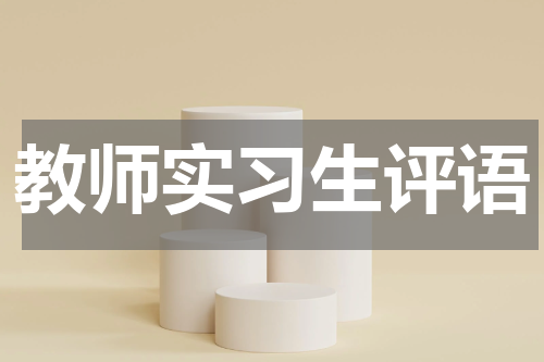 教师实习生评语