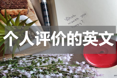 个人评价的英文