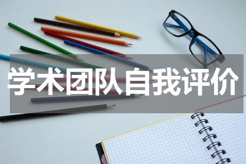 学术团队自我评价