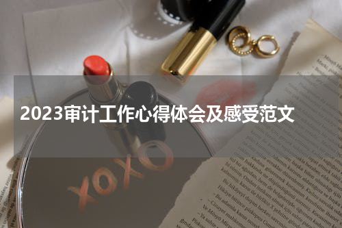 2023审计工作心得体会及感受范文
