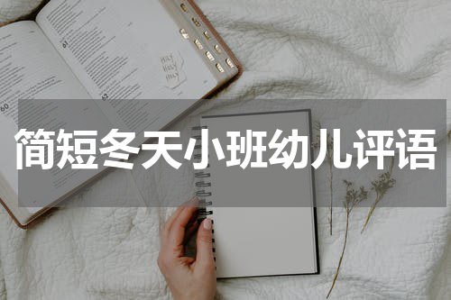 简短冬天小班幼儿评语