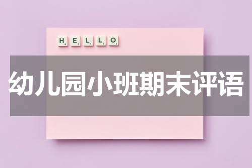 幼儿园小班期末评语