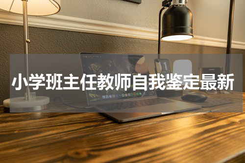 小学班主任教师自我鉴定最新