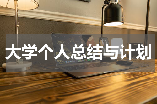 大学个人总结与计划
