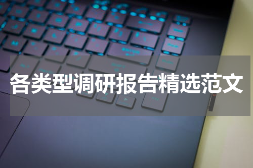 各类型调研报告精选范文