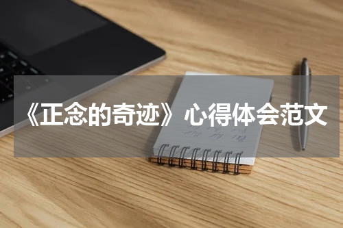 《正念的奇迹》心得体会范文