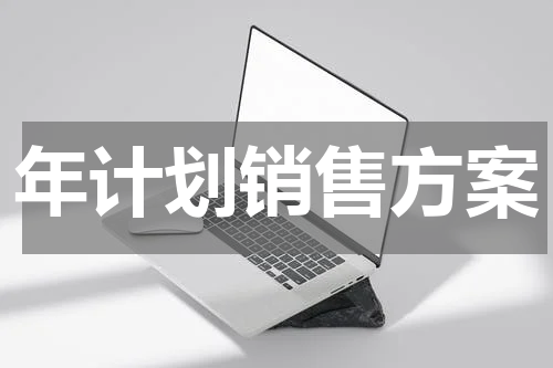 年计划销售方案