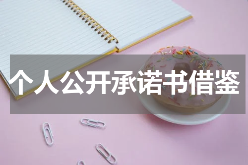个人公开承诺书借鉴