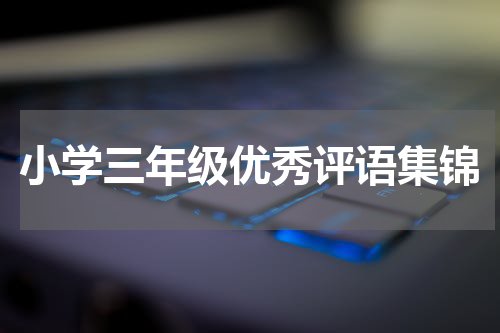 小学三年级优秀评语集锦