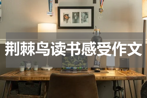 荆棘鸟读书感受作文