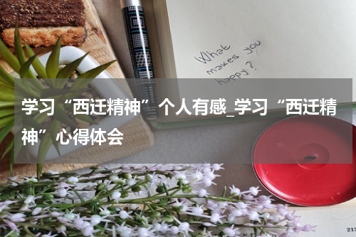 学习“西迁精神”个人有感_学习“西迁精神”心得体会