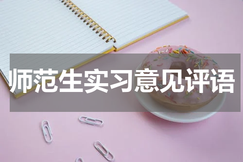 师范生实习意见评语