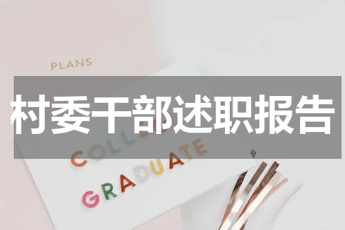 村委干部述职报告