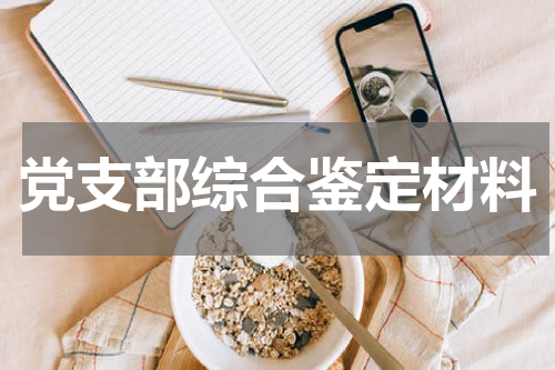党支部综合鉴定材料