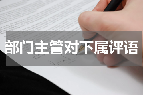 部门主管对下属评语