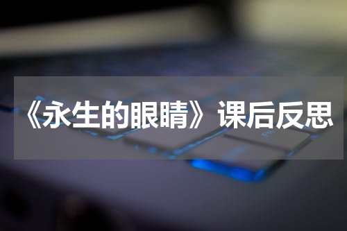 《永生的眼睛》课后反思