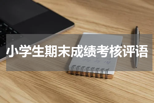 小学生期末成绩考核评语