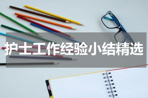 护士工作经验小结精选