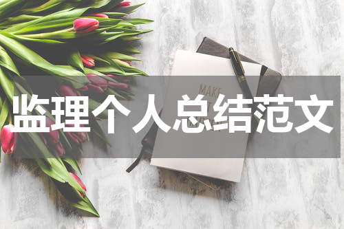 监理个人总结范文
