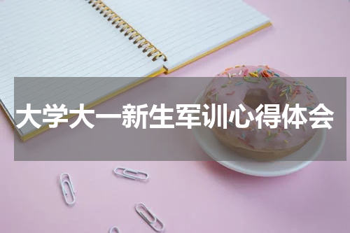 大学大一新生军训心得体会