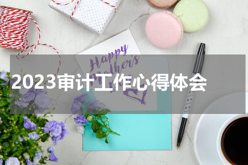 2023审计工作心得体会