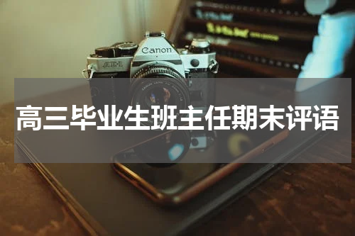 高三毕业生班主任期末评语