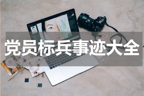党员标兵事迹大全