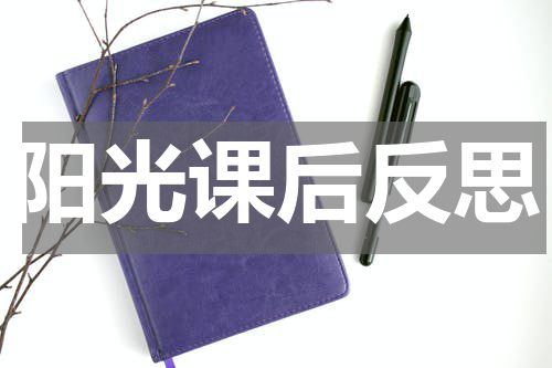 阳光课后反思
